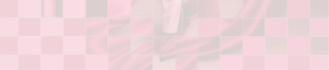 BAS25-WEB2